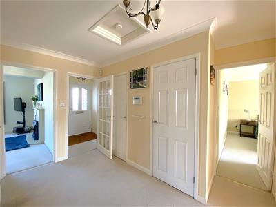 Picture 7